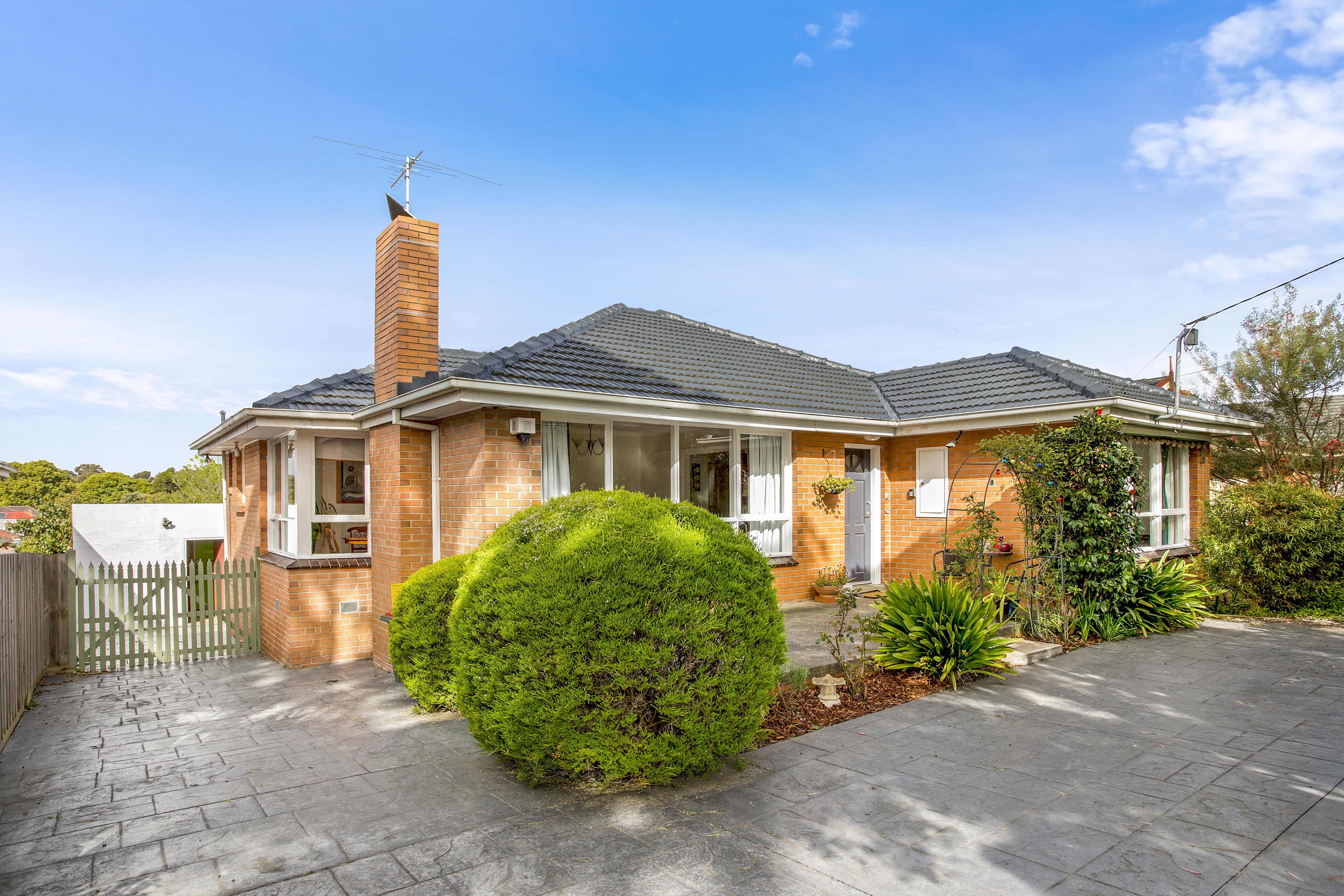 49 MORRIE CRESCENT, BLACKBURN NORTH, 3130