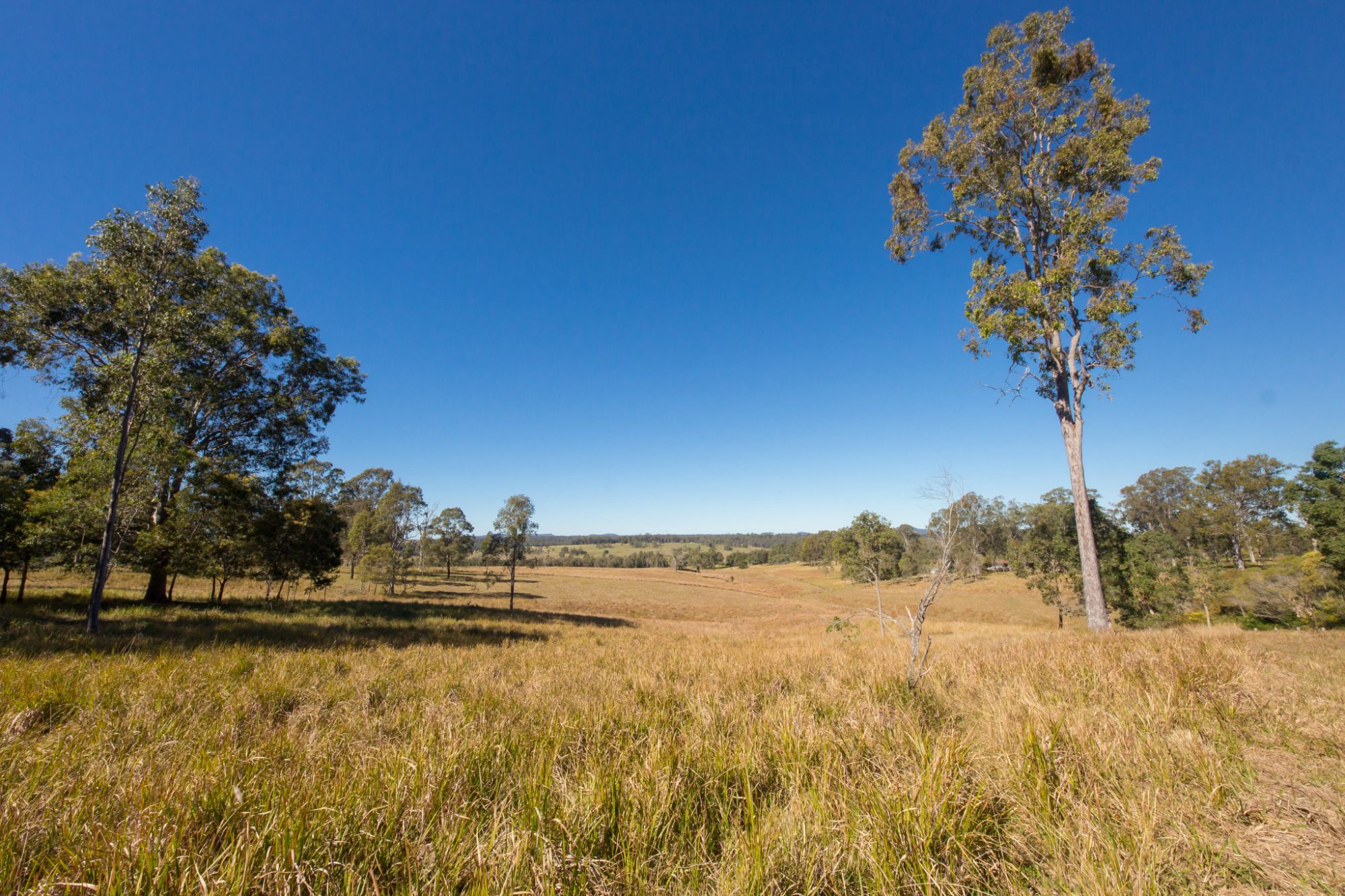 3 SIX MILE LANE, GLENUGIE, 2460