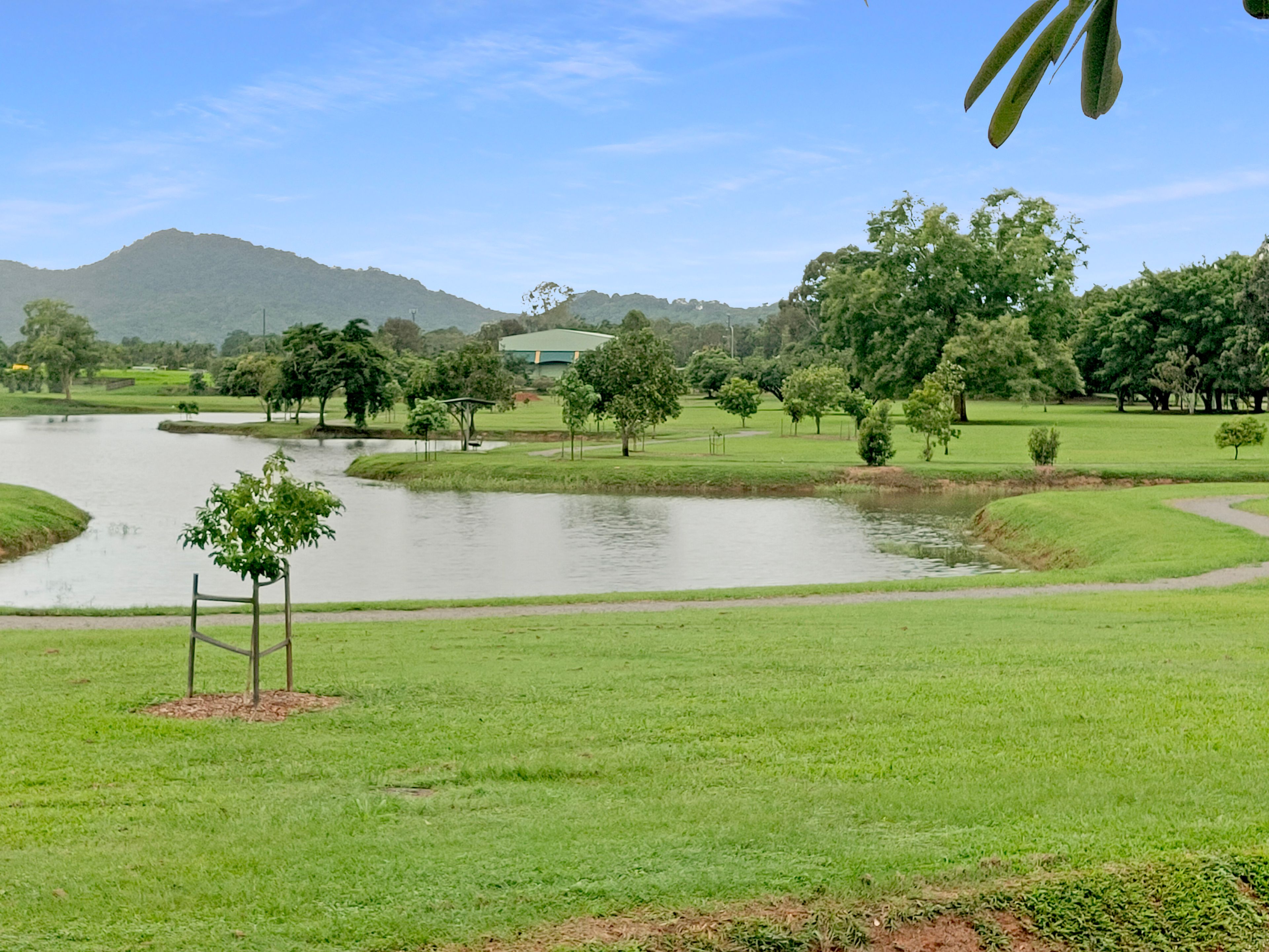 42 IMPEY STREET, CARAVONICA, 4878