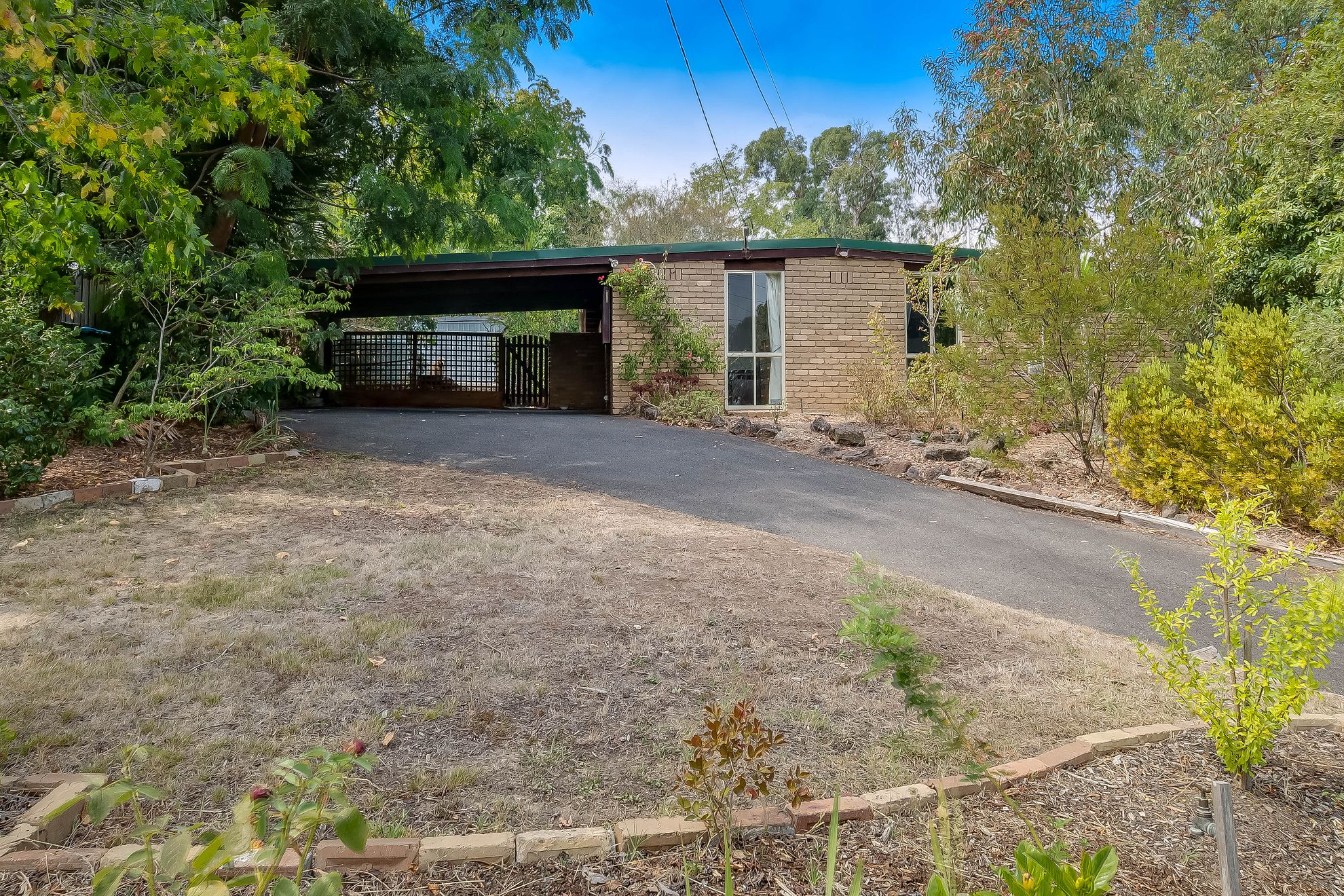 11 PINETREE CLOSE, CROYDON, 3136