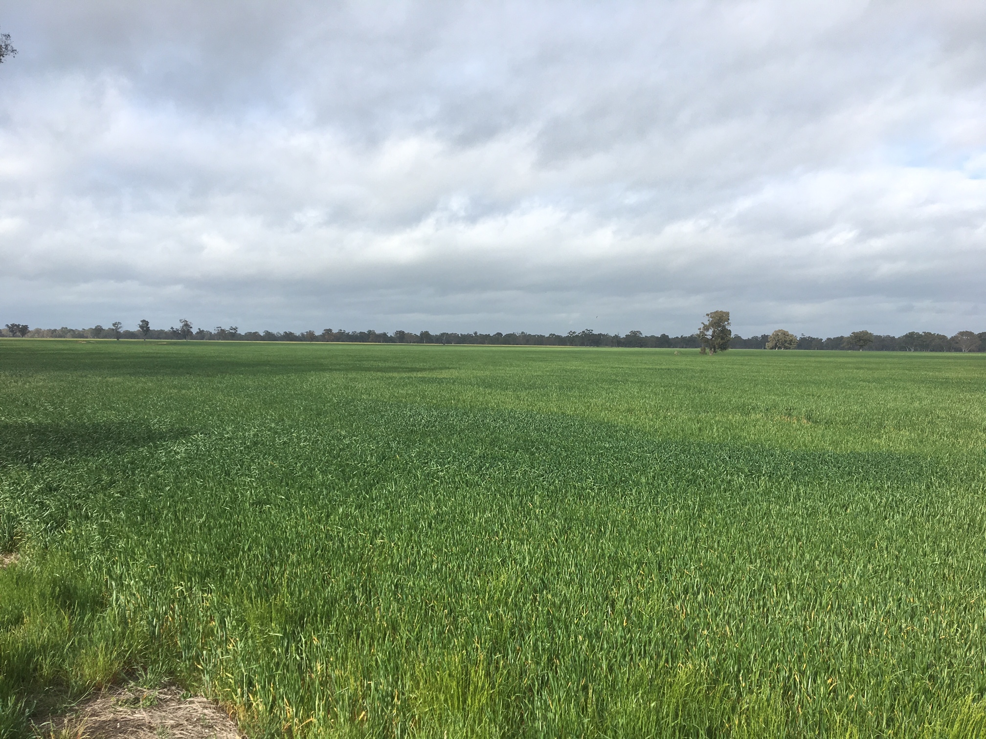 LOT 52B, 52B1 SUMMER ROAD, ARCADIA SOUTH, 3631