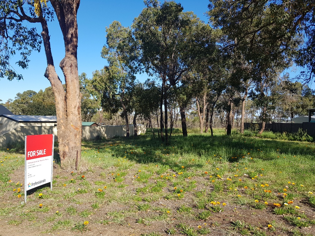 29 CAMM ROAD, DANDARAGAN, 6507