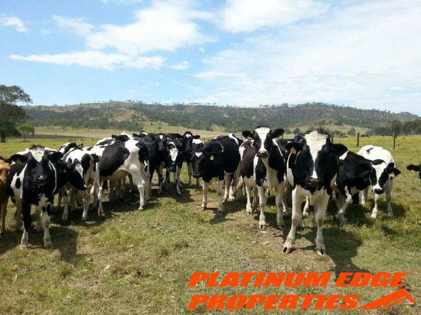 8524 MT LINDESAY HIGHWAY, LARAVALE, 4285