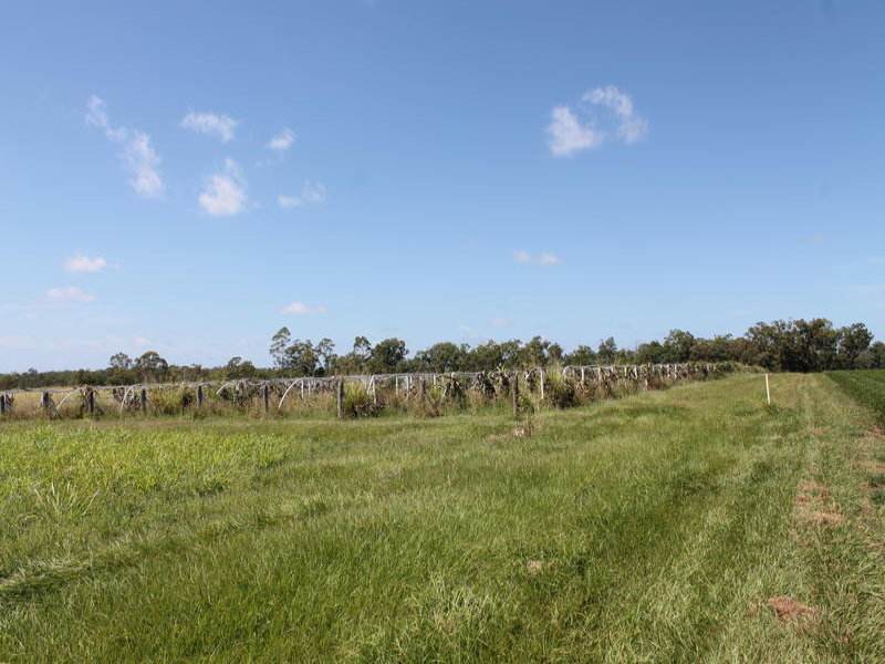156 HENRICKSENS ROAD, CORDALBA, 4660