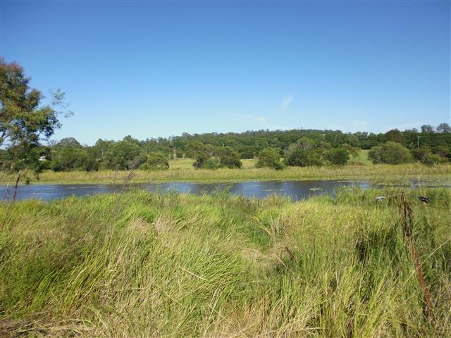 98 WHITEBRIDGE ROAD, NORTH ISIS, 4660