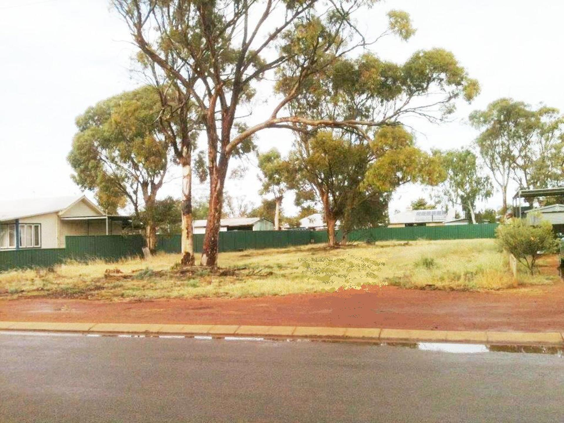 60 CARTER STREET, THREE SPRINGS, 6519