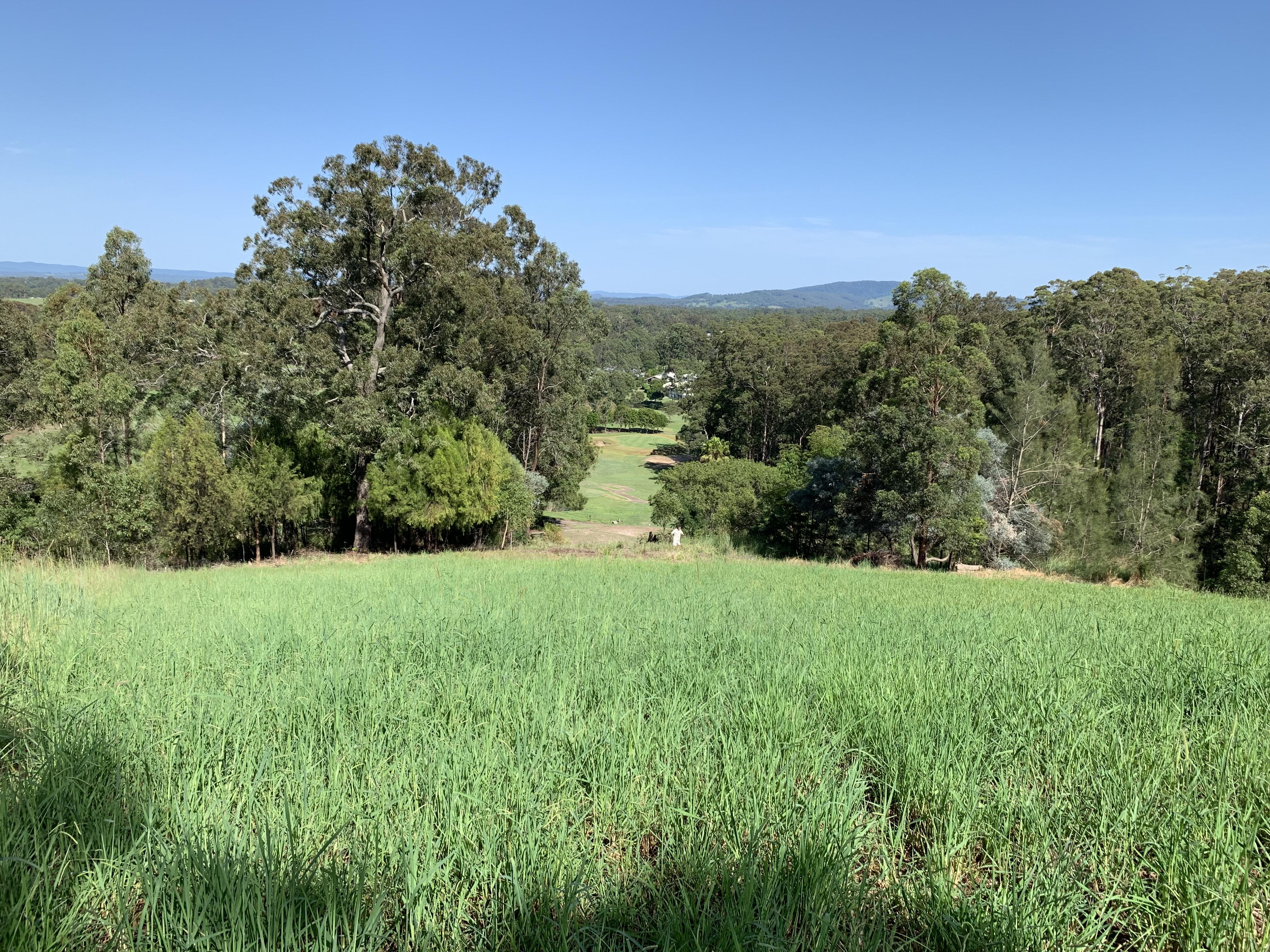 23 LORIKEET WAY, TALLWOODS VILLAGE, 2430