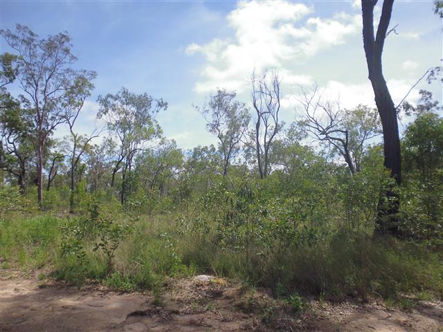 56 HUTCHINS ROAD, CHILDERS, 4660