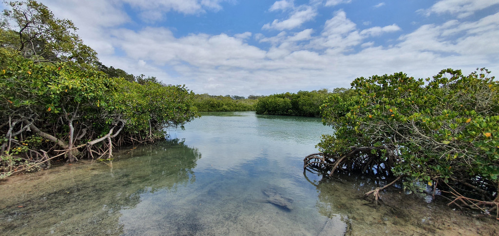 139 DAVENPORT DRIVE, COONARR, 4670