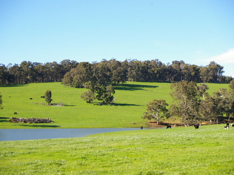 11 WHITE ROAD, CUNDINUP, 6275