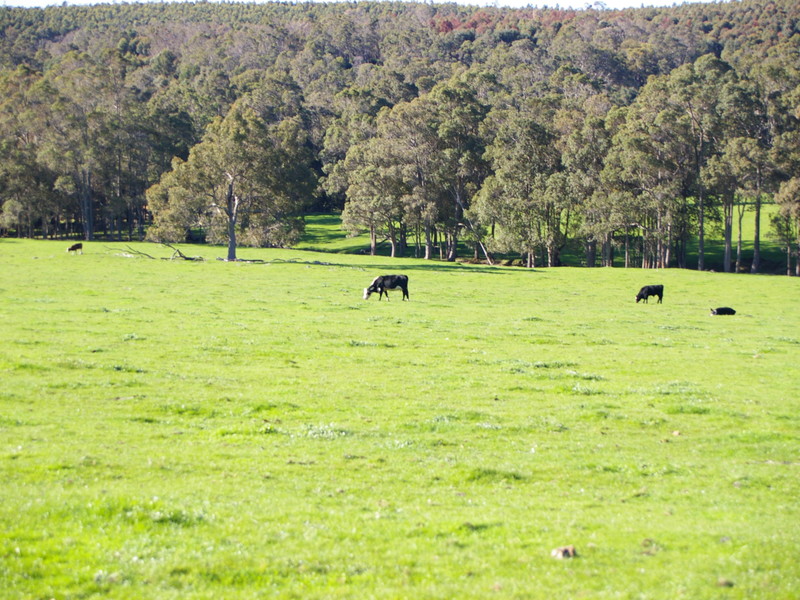 B / 11 WHITE ROAD, NANNUP, 6275