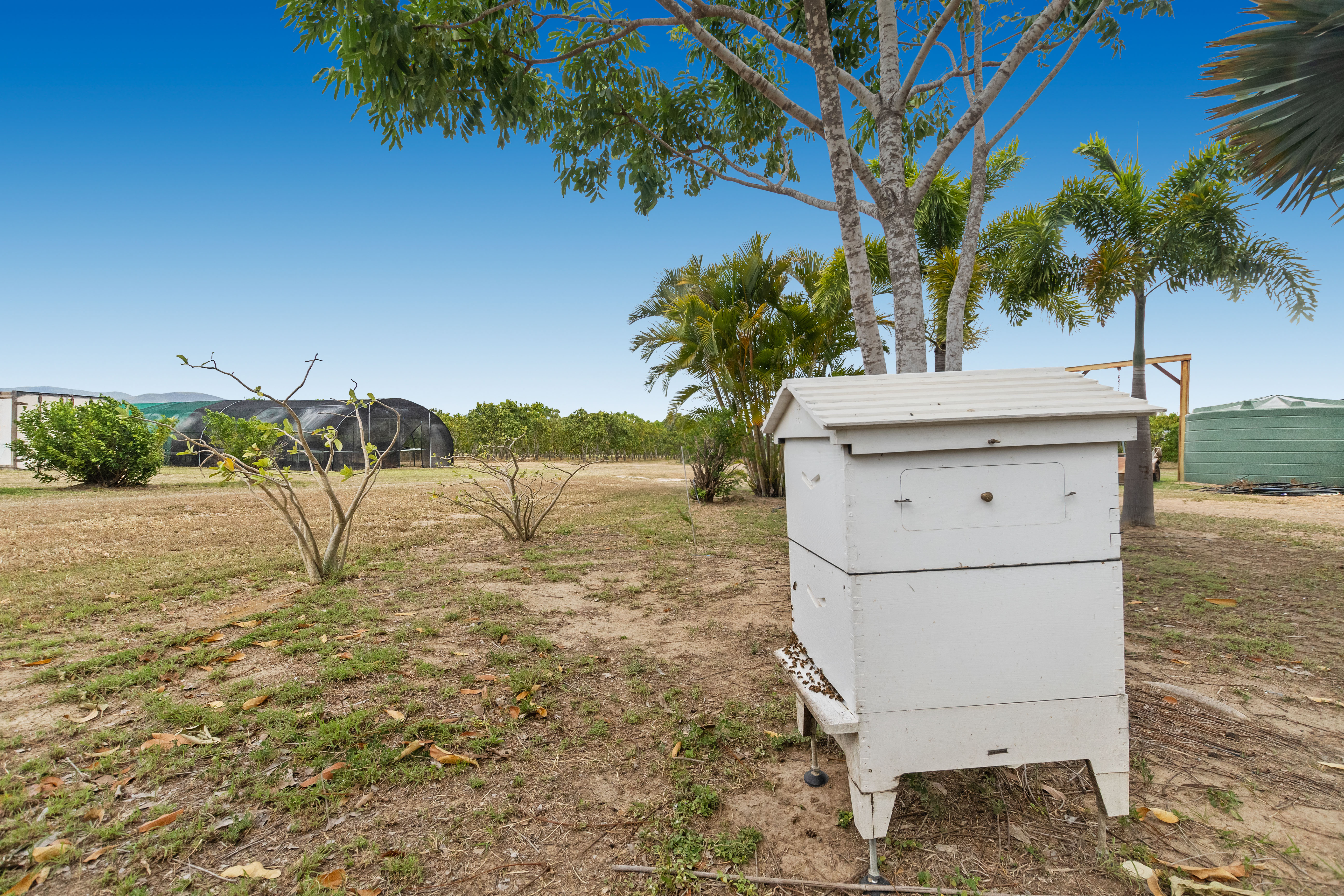 259 MURRAY ROAD, WOODSTOCK, 4816