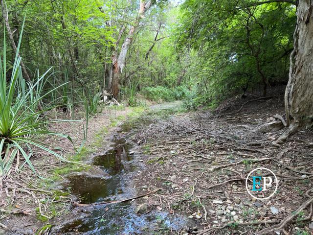 126 DINGO PARK ROAD, WOODSTOCK, 4816