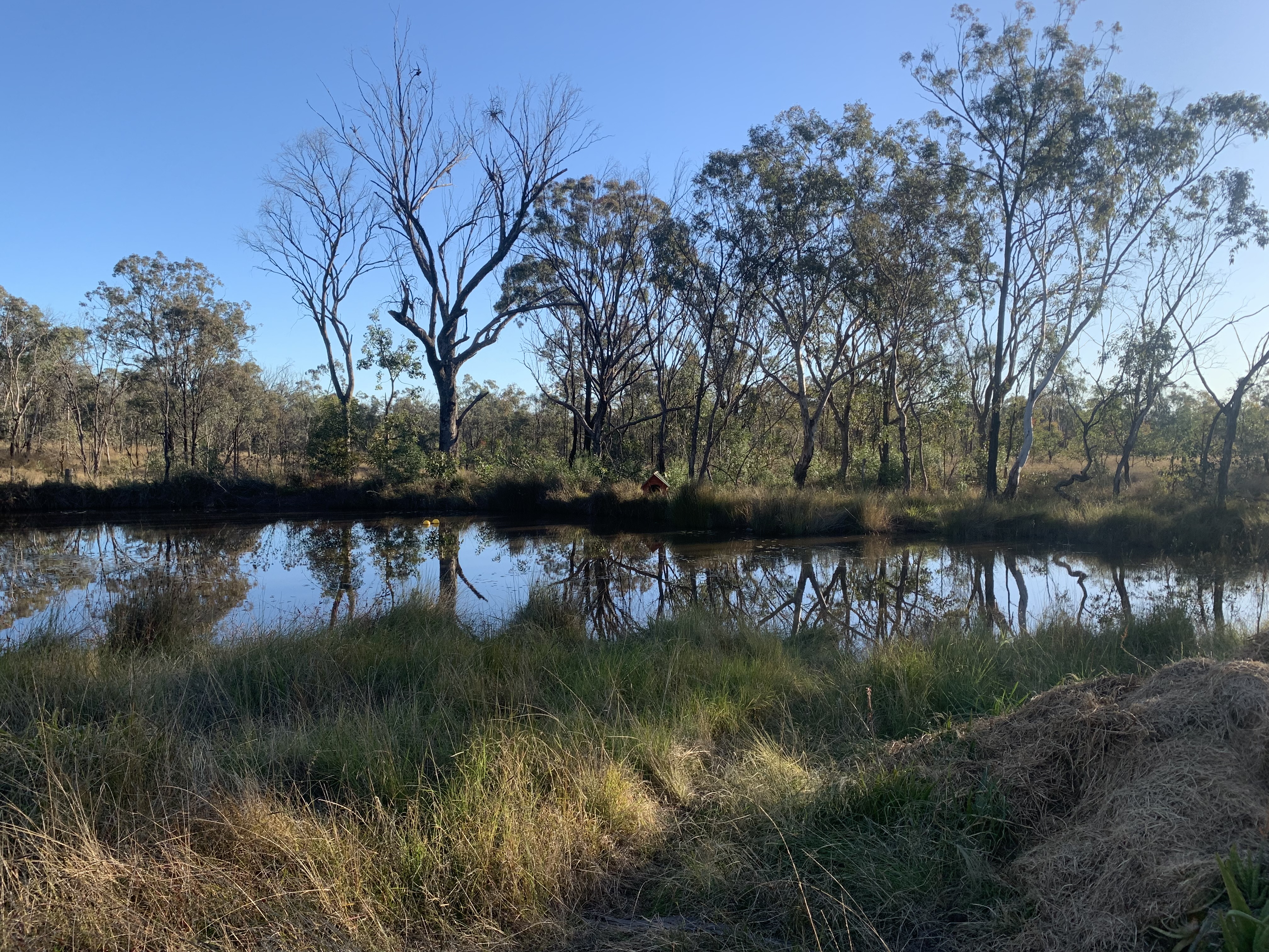 309 MEIKLEJOHN ROAD, KARARA, 4352
