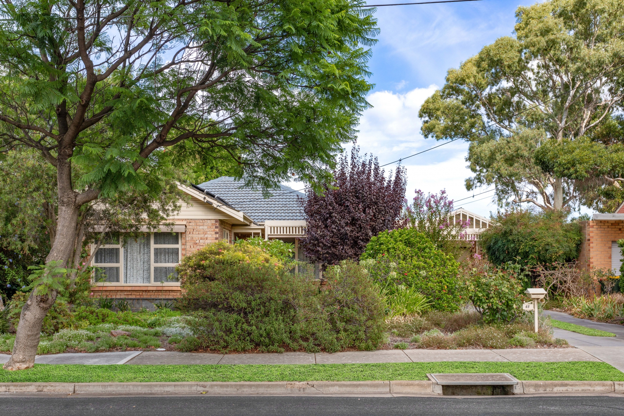 48 LASSCOCK AVENUE, LOCKLEYS, 5032