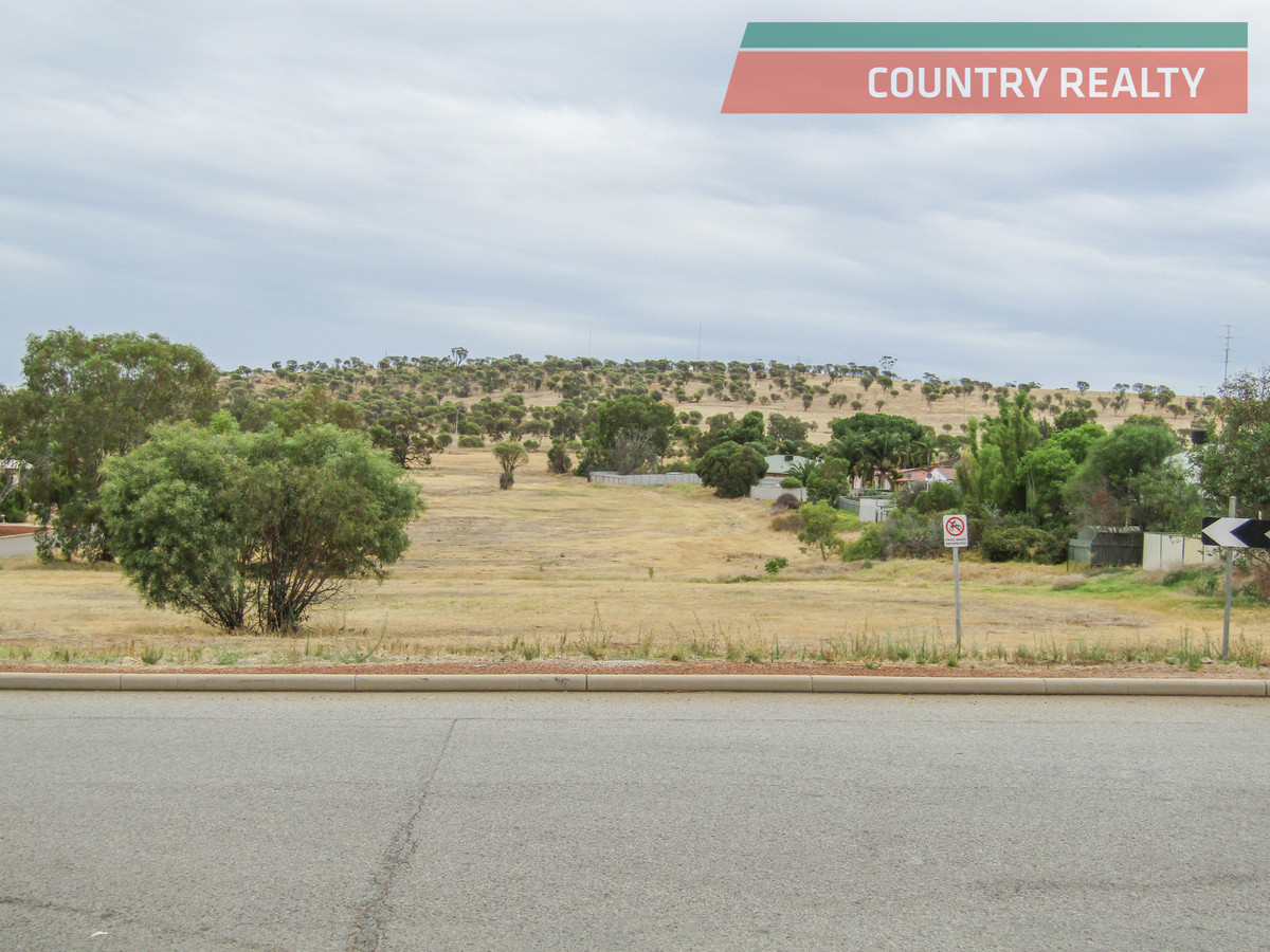 14 ROBINSON STREET, NORTHAM, 6401