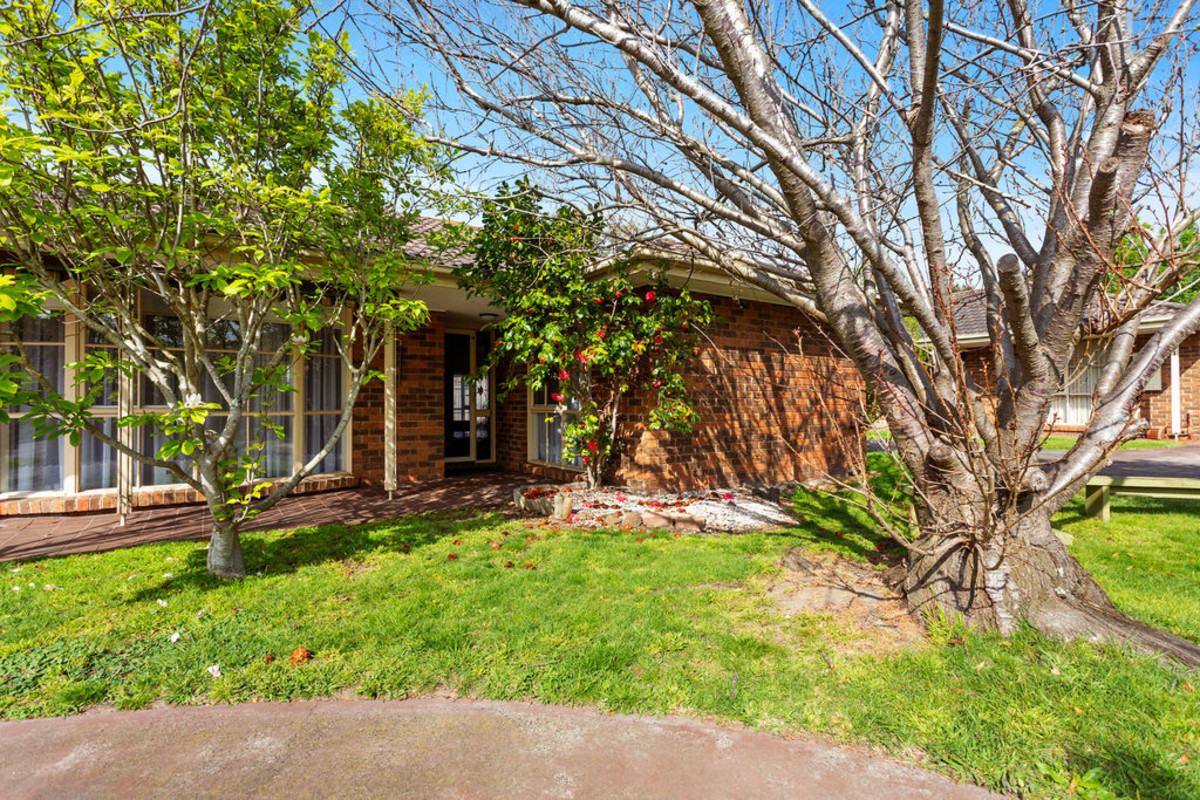 6/46 VICTORIA STREET, HASTINGS, 3915 6/46 VICTORIA STREET, HASTINGS, 3915