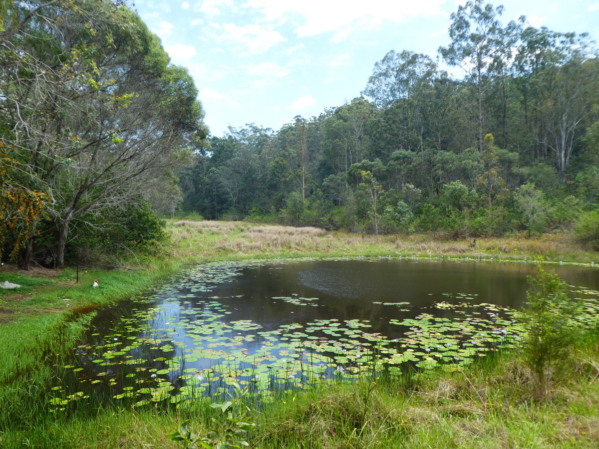  OLD LAWRENCE ROAD, MALLANGANEE, 2469
