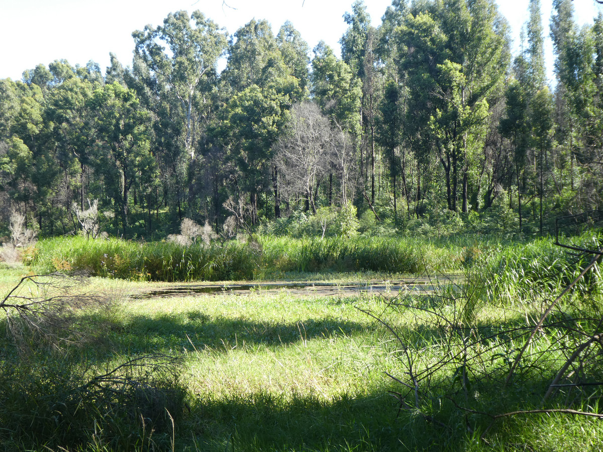 534 PHILLIPS SWAMP ROAD, BUSBYS FLAT, 2469 534 PHILLIPS SWAMP ROAD, BUSBYS FLAT, 2469