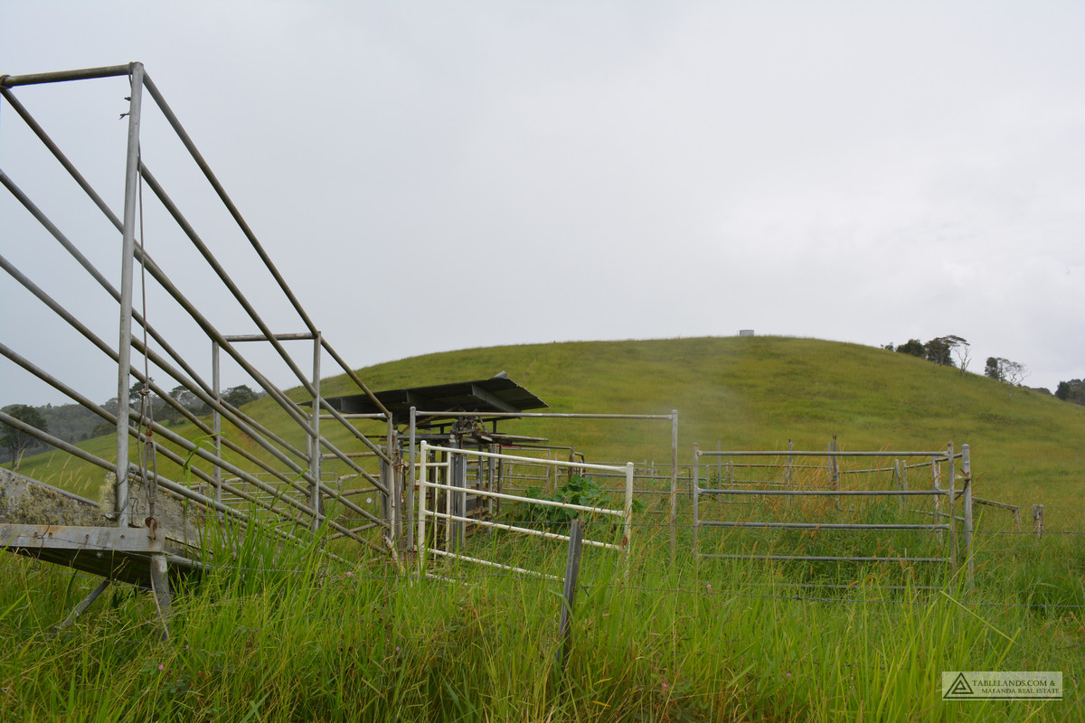 F1774  120 PETERSEN ROAD, TARZALI, 4885