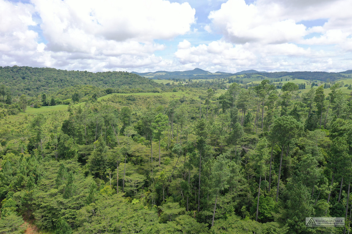 LS1791   145 MIDDLEBROOK ROAD, MILLAA MILLAA, 4886