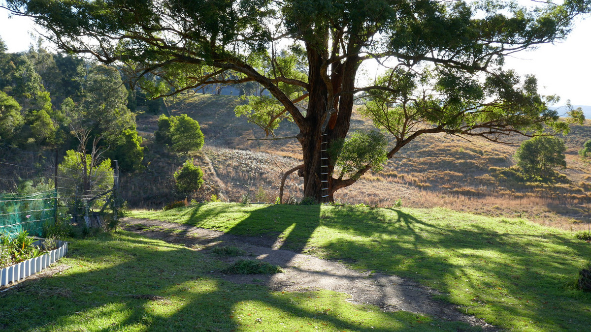 LOT 176 MACLEODS CREEK ROAD, SANDY HILL, 2372