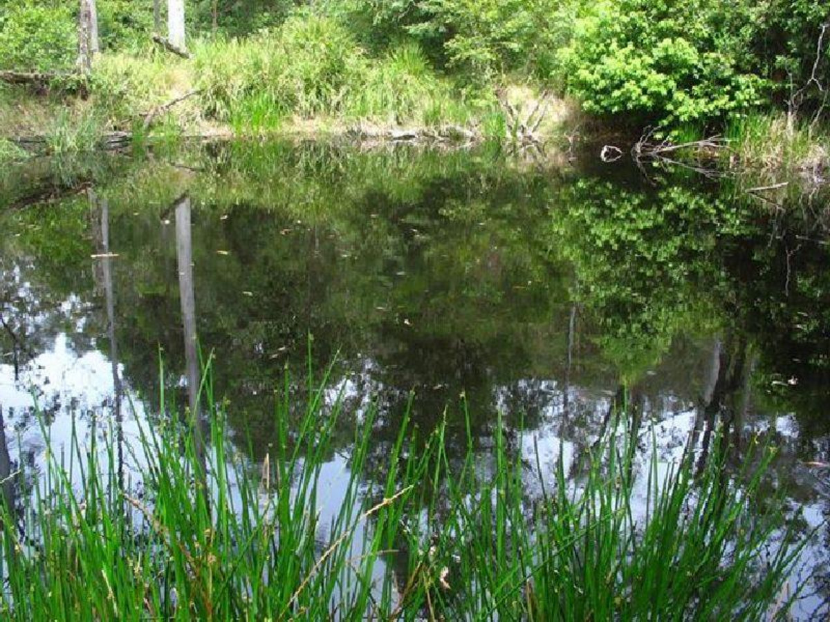  OLD WYAN ROAD, RAPPVILLE, 2469