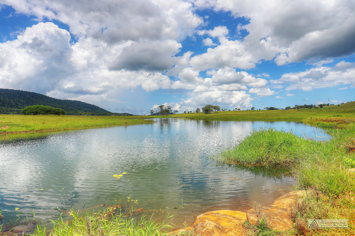 F1629  12431 KENNEDY HIGHWAY, RAVENSHOE, 4888