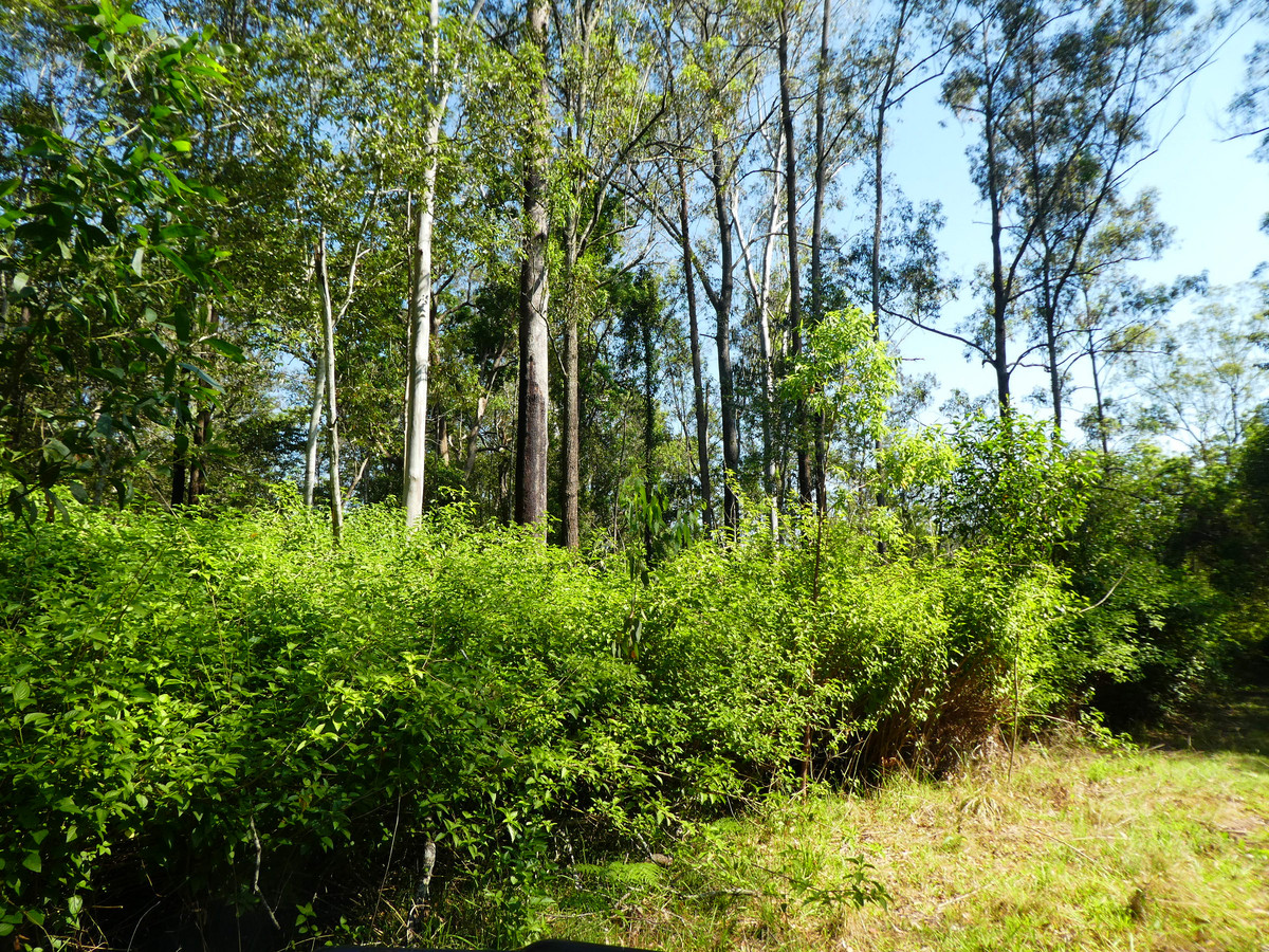 LOT 40-46 OLD WYAN ROAD, RAPPVILLE, 2469