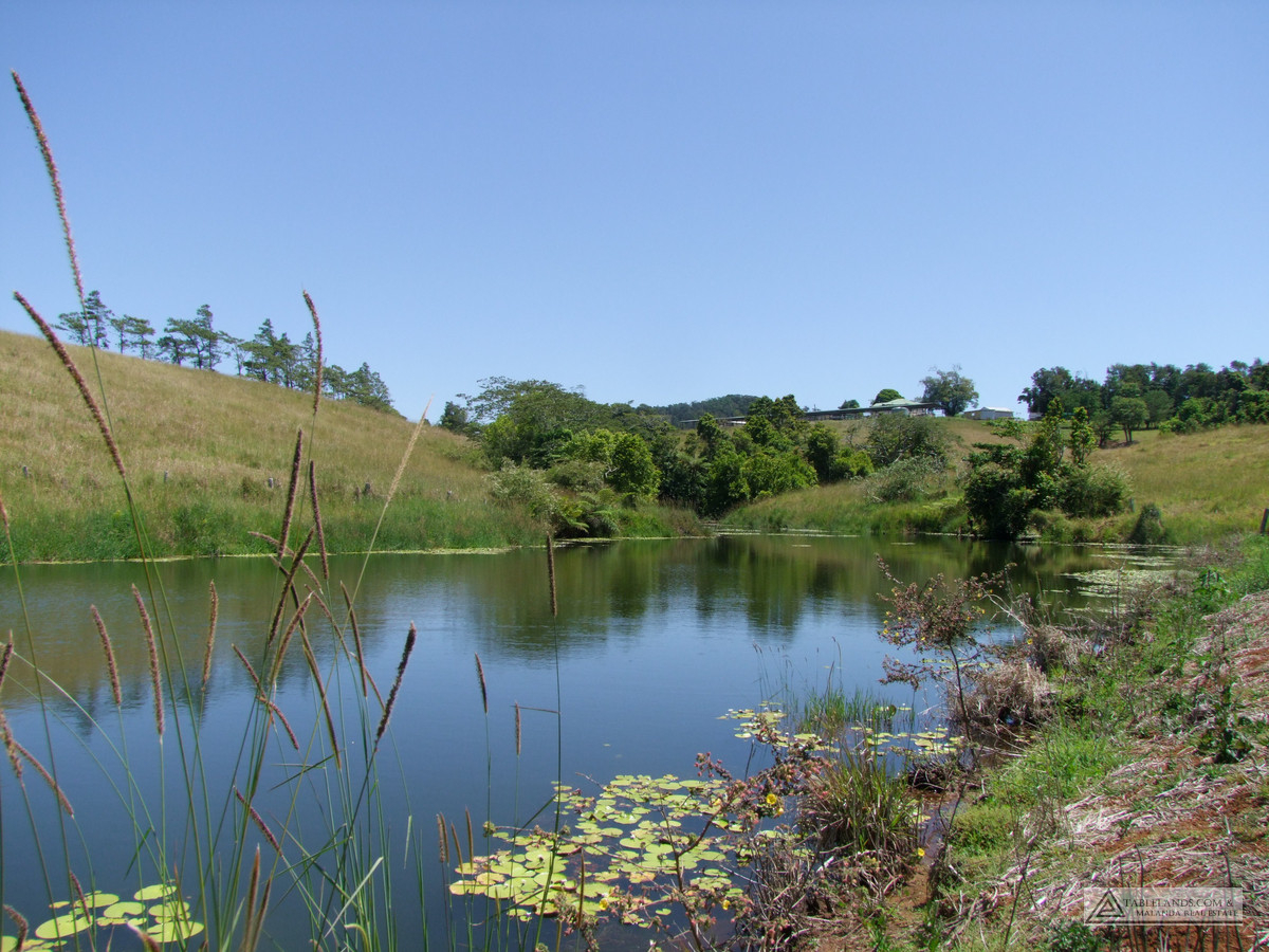 F991 405 EAST EVELYN ROAD, MILLAA MILLAA, 4886