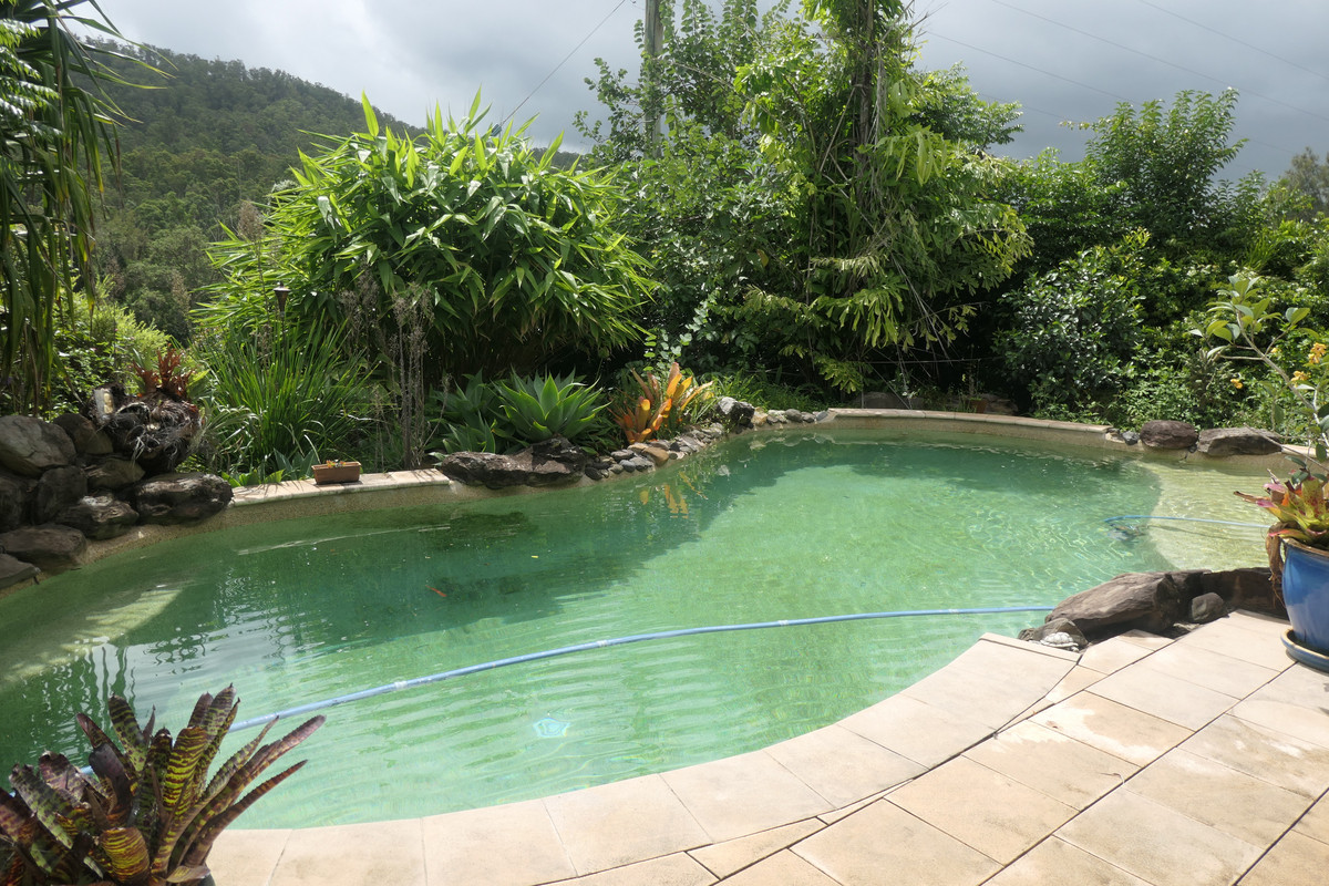1003 ROSEBERRY CREEK ROAD, ROSEBERRY CREEK, 2474 1003 ROSEBERRY CREEK ROAD, ROSEBERRY CREEK, 2474