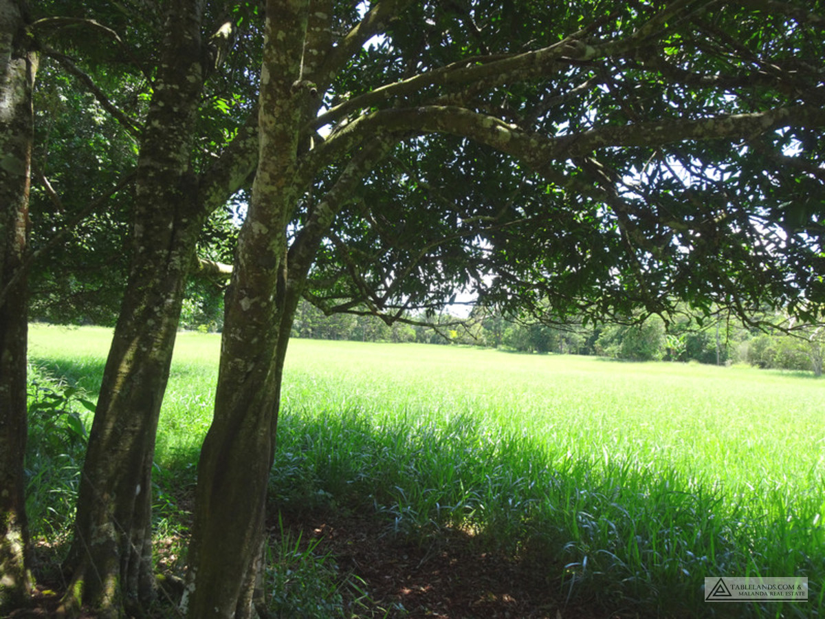 L1824 LOT 2 KUREEN ROAD, MALANDA, 4885