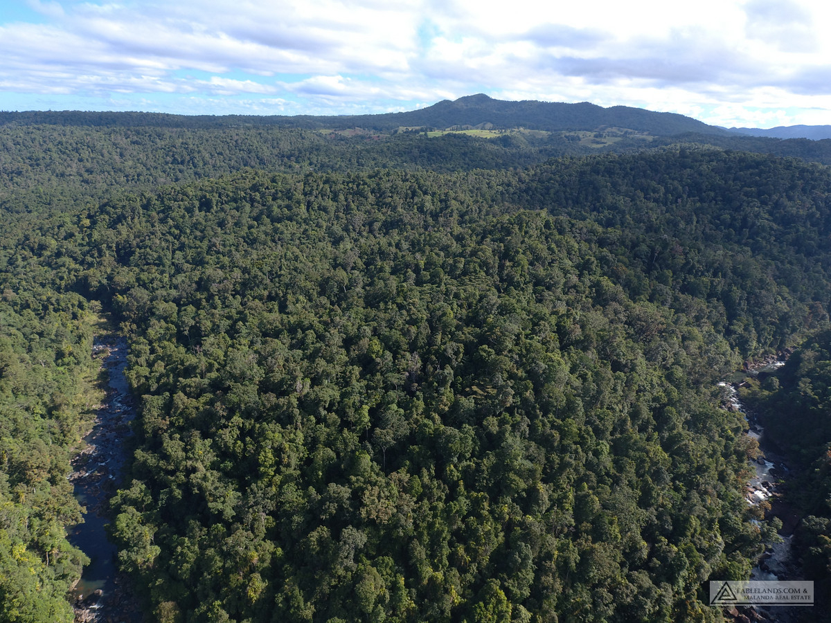 L1714  LOT 367 MIDDLEBROOK ROAD, MILLAA MILLAA, 4886