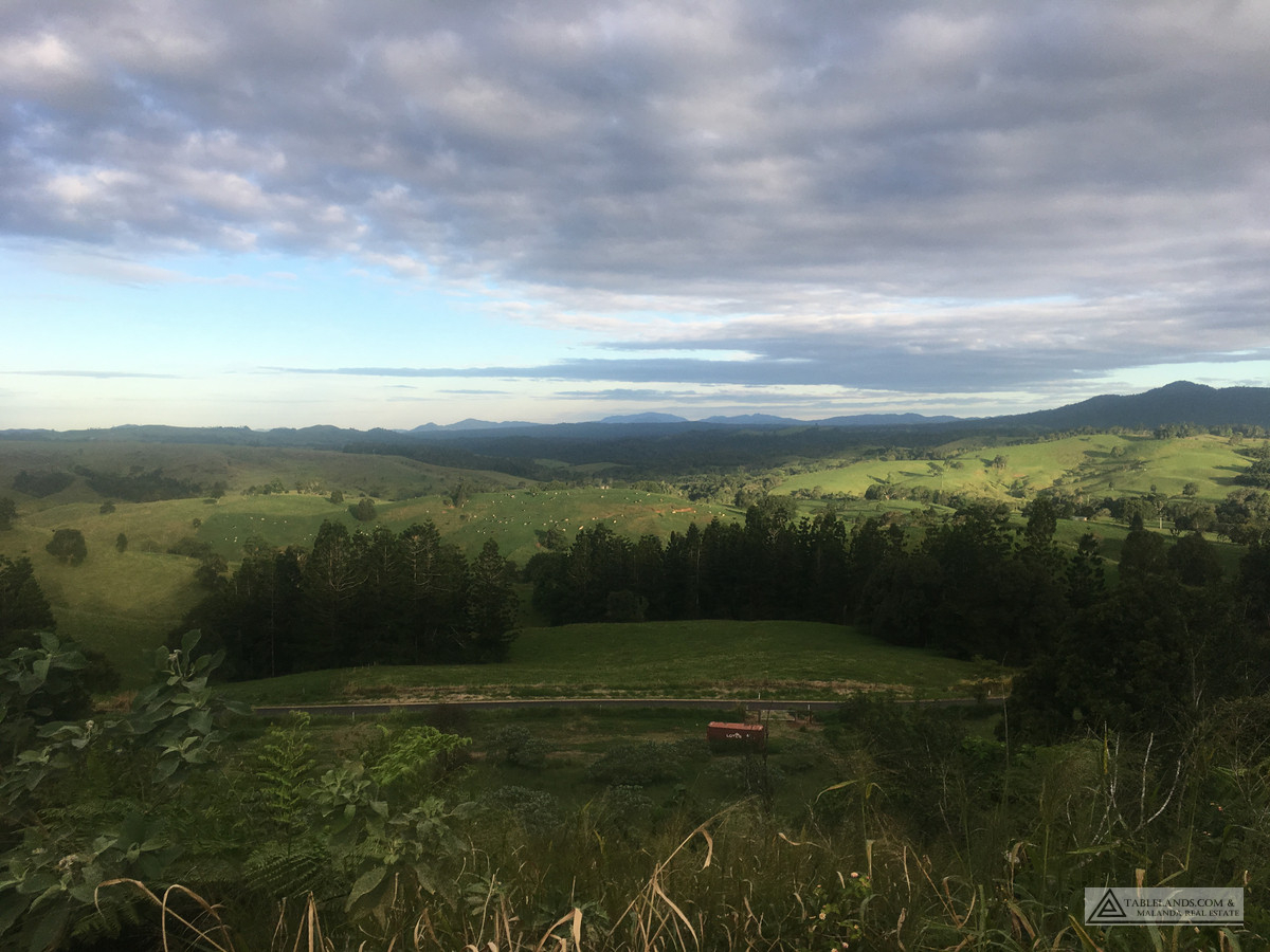 L1837    27 PINE STREET, MILLAA MILLAA, 4886