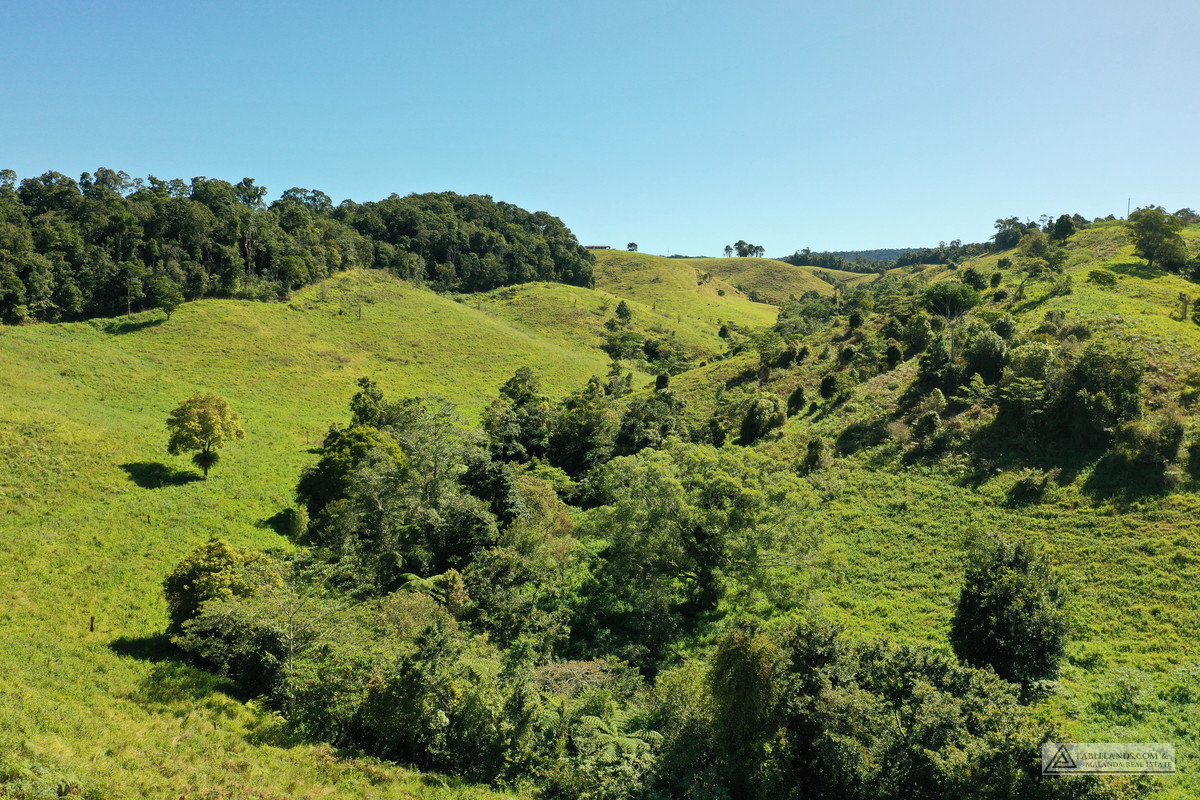 LS1383  LOT 416 OLD PALMERSTON HIGHWAY, BEATRICE, 4886