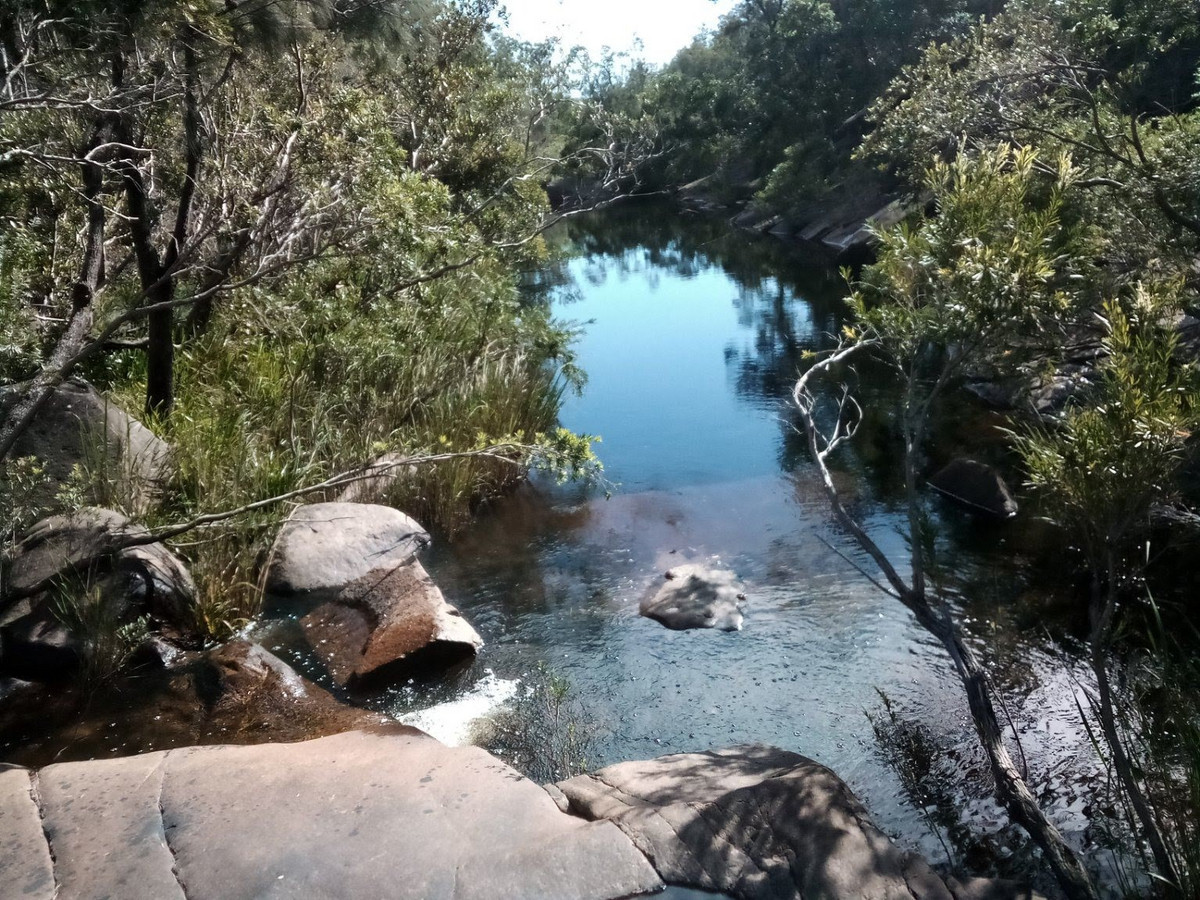 241 BRUXNER ROAD, DRAKE, 2469 241 BRUXNER ROAD, DRAKE, 2469