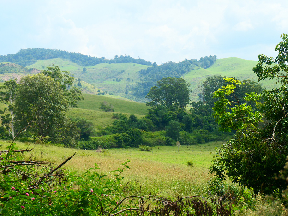 6493 BRUXNER HIGHWAY, MALLANGANEE, 2469