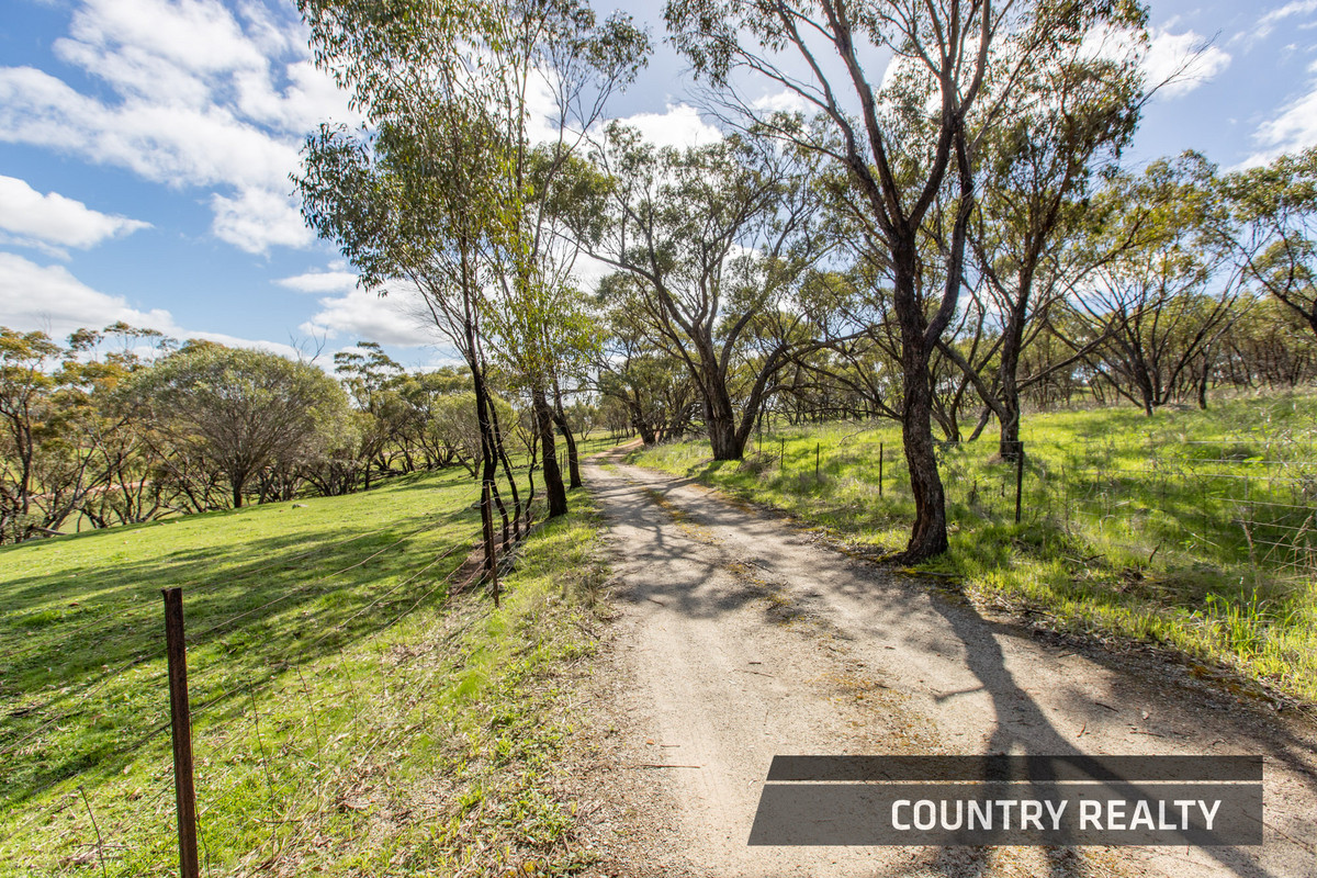210 COONDLE DRIVE, TOODYAY, 6566