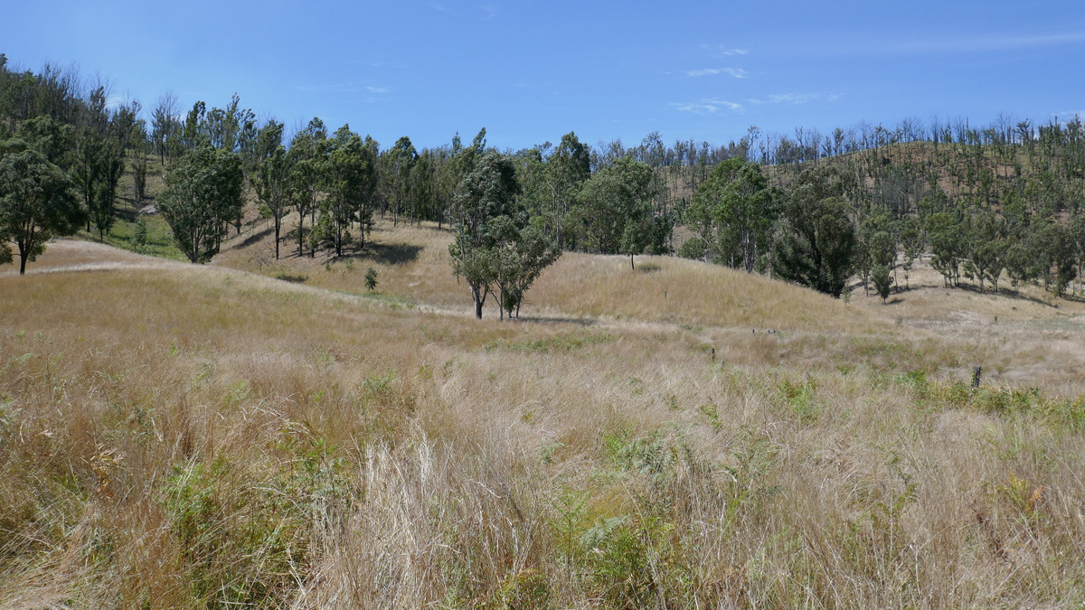 1397 LONG GULLY ROAD, ROCKY RIVER, 2372