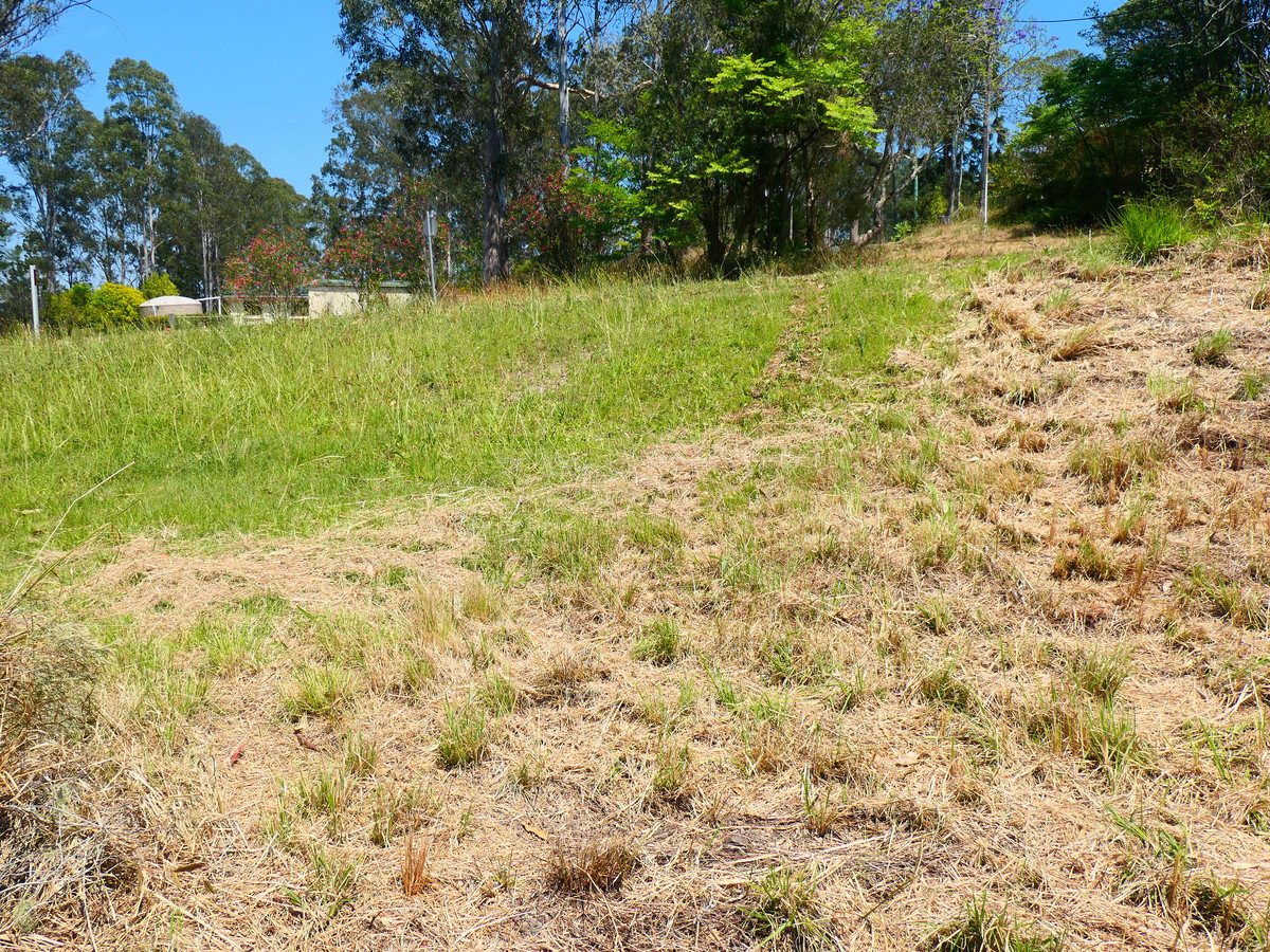 1 CLARENCE WAY, BONALBO, 2469 1 CLARENCE WAY, BONALBO, 2469
