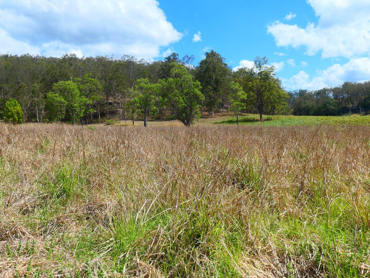 5663 BRUXNER HIGHWAY, MUMMULGUM, 2469 5663 BRUXNER HIGHWAY, MUMMULGUM, 2469