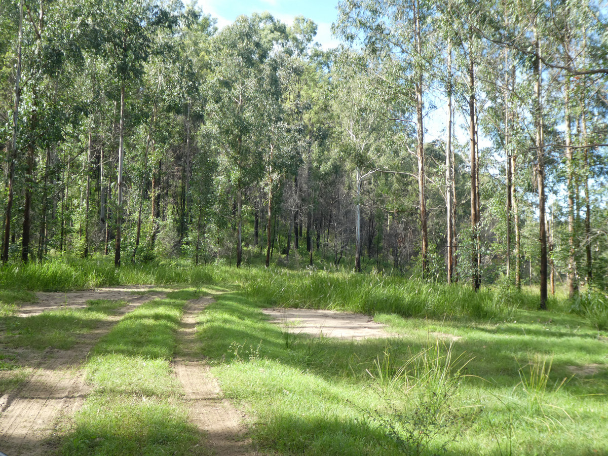 534 PHILLIPS SWAMP ROAD, BUSBYS FLAT, 2469