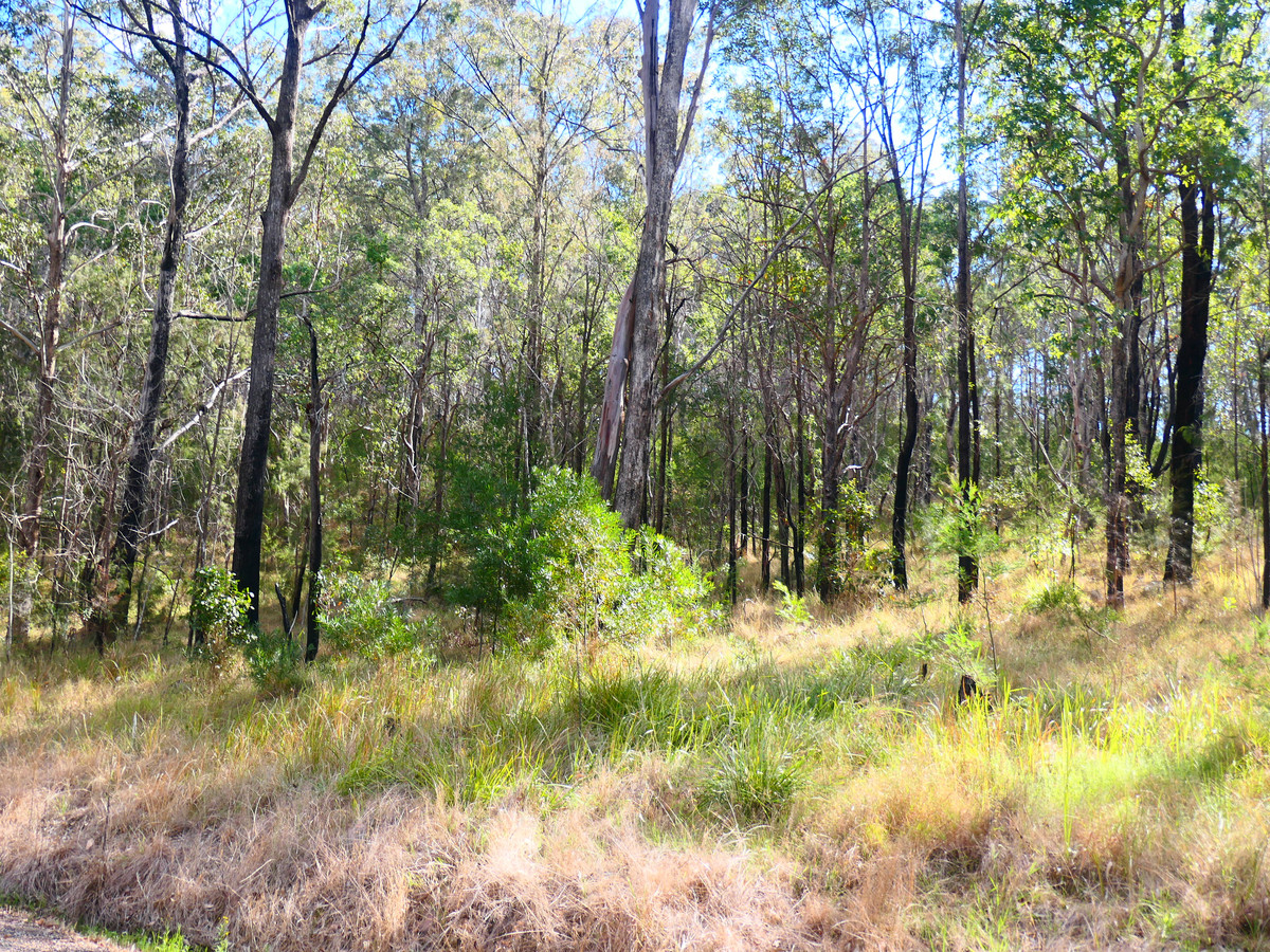  CHEVIOT HILLS ROAD, DRAKE, 2469