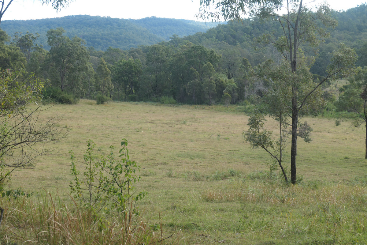 400 PHILLIPS SWAMP ROAD, BUSBYS FLAT, 2469