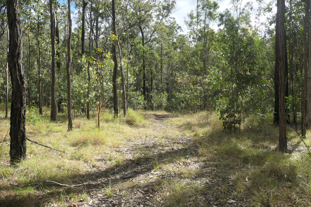 BELLBIRD ROAD, DRAKE, 2469  BELLBIRD ROAD, DRAKE, 2469
