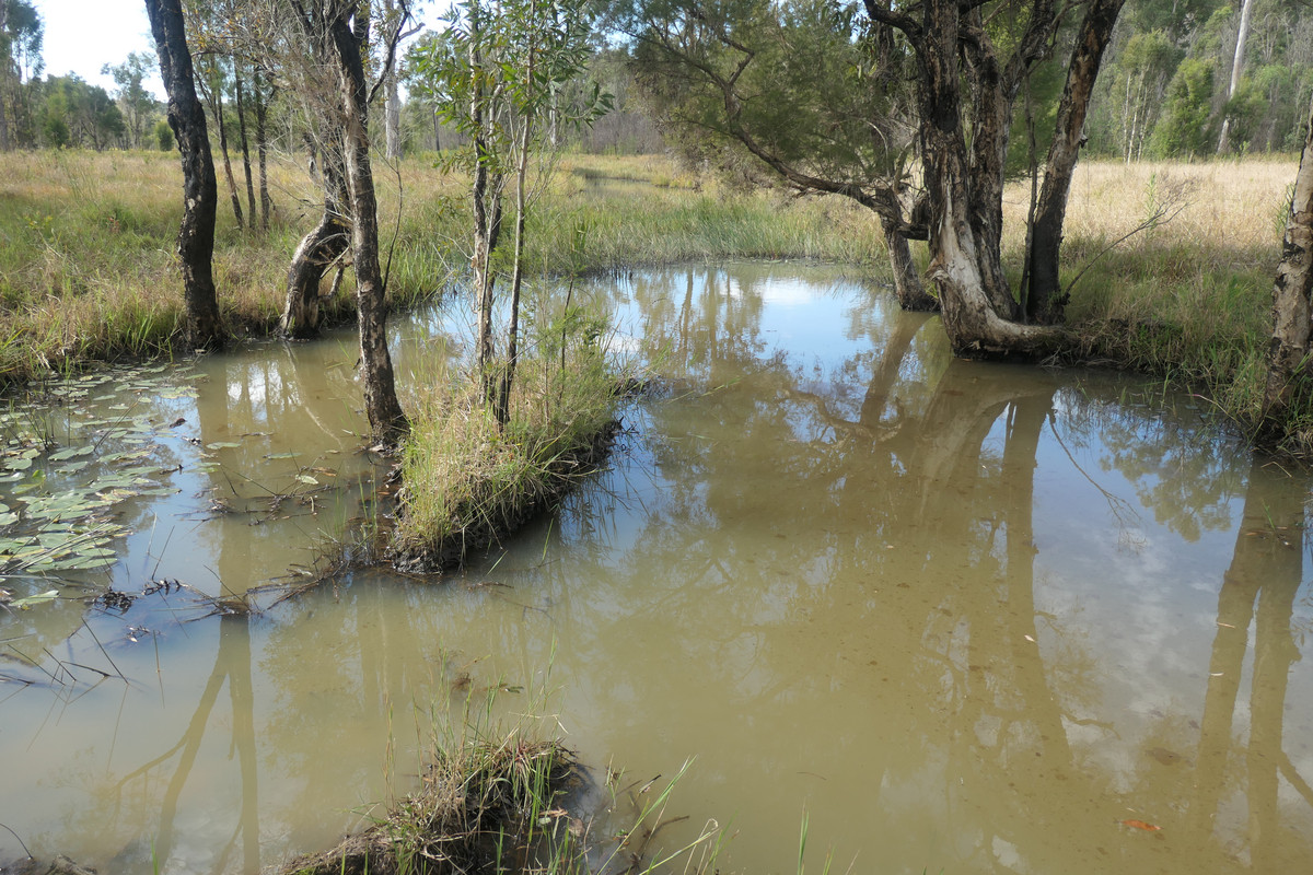 400 PHILLIPS SWAMP ROAD, BUSBYS FLAT, 2469