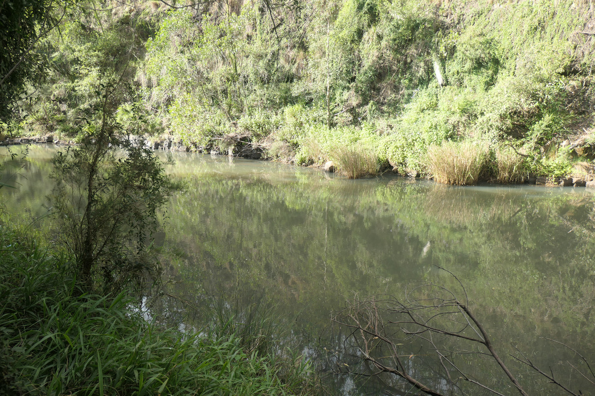 LOT 11 EWINGAR ROAD, BULLDOG, 2469