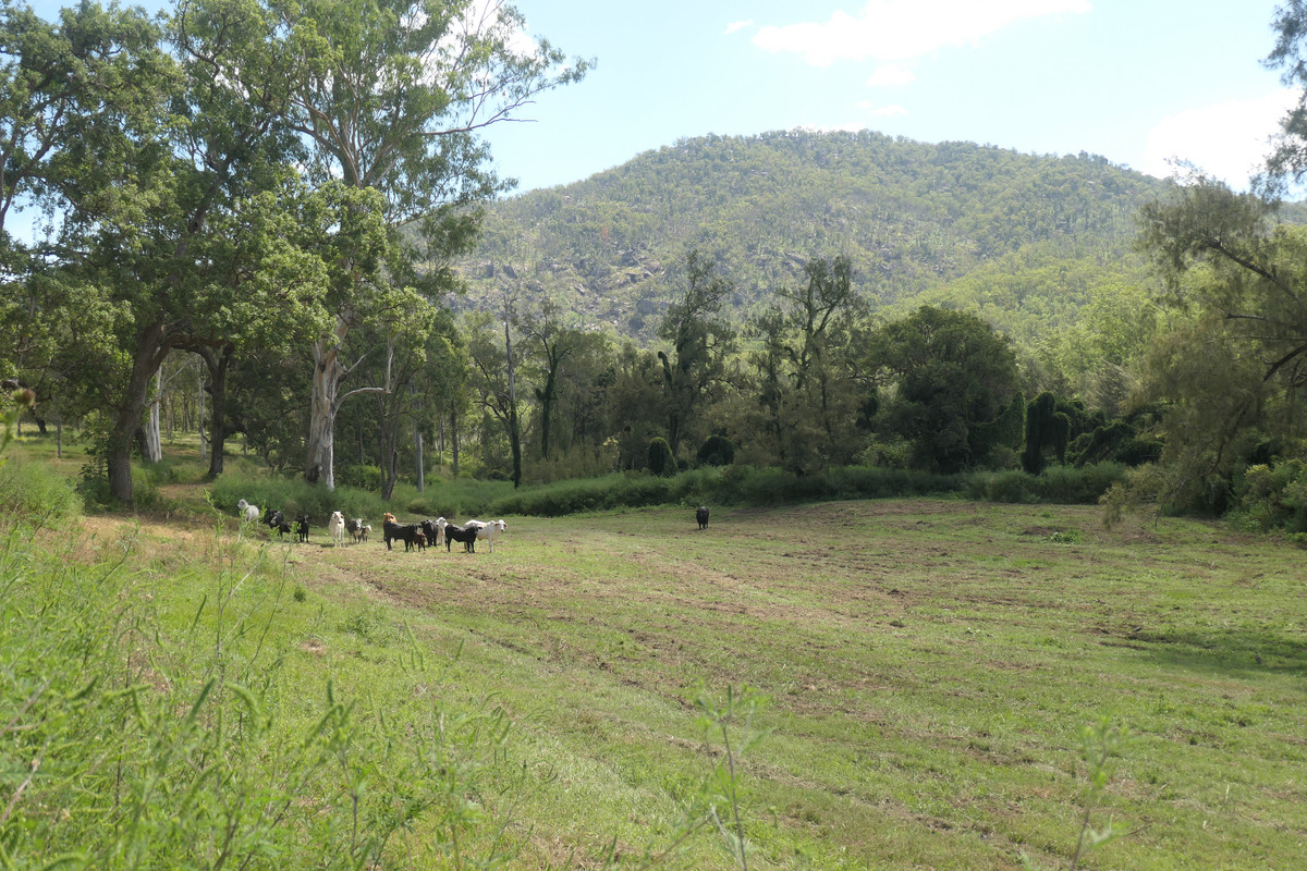 2501 ROCKY RIVER ROAD, ROCKY RIVER, 2372