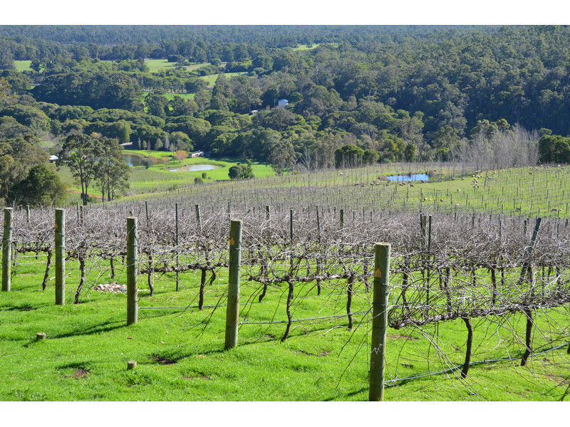 159 & 1915 VASSE HIGHWAY, PEMBERTON, 6260