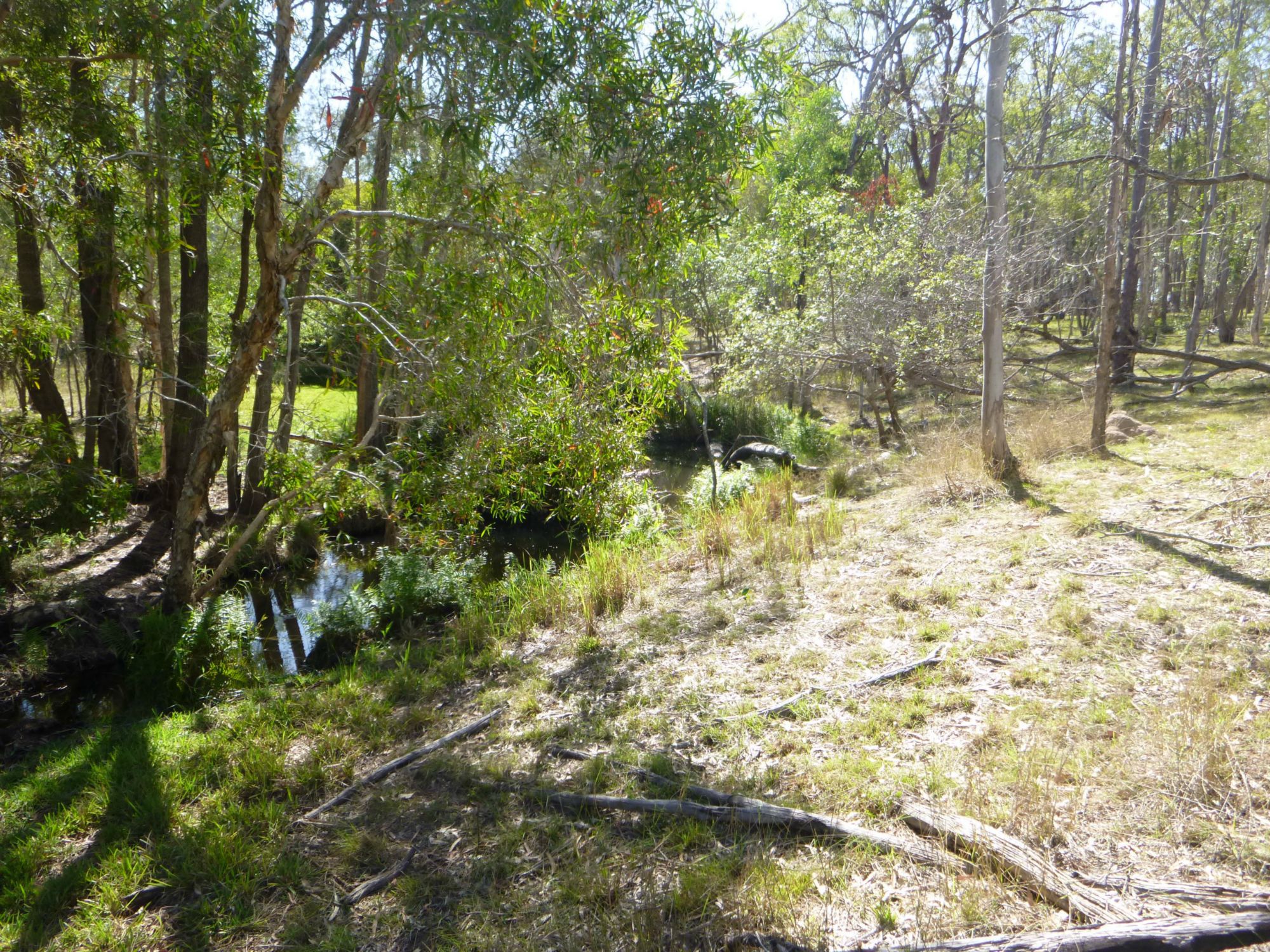 66 JUNCTION MOUNTAIN ROAD, SOUTH ISIS, 4660